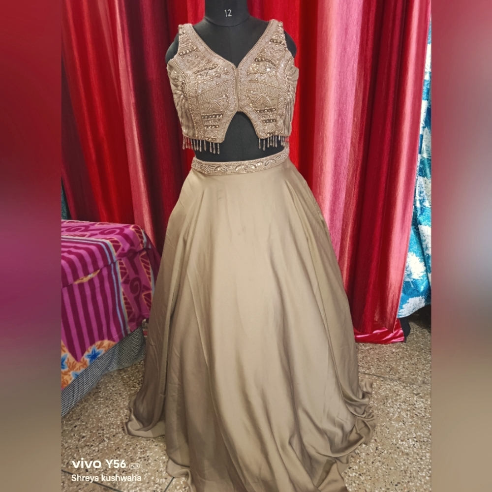 Indian Crop top and Skirt/Lehenga